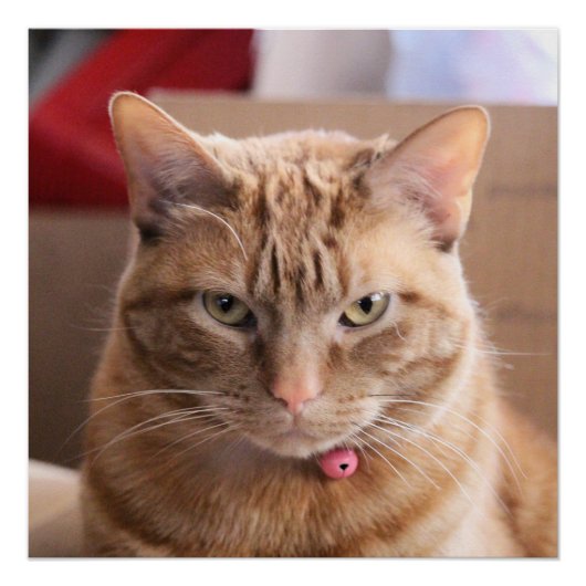 Ernstig Perfect Poster (Voorkant)