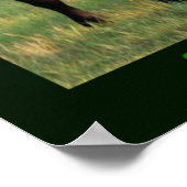 Ernstig Poster (Hoek)