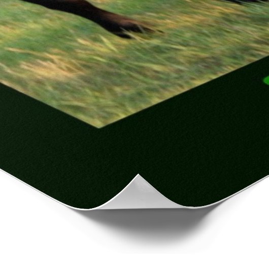 Ernstig Poster (Hoek)