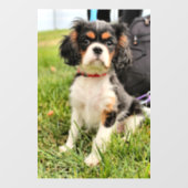 Ernstig Raamsticker (Vel)