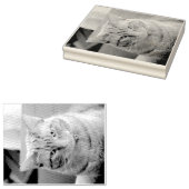 Ernstig Rubberstempel (Gestempeld)