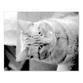 Ernstig Rubberstempel (Afrduk)