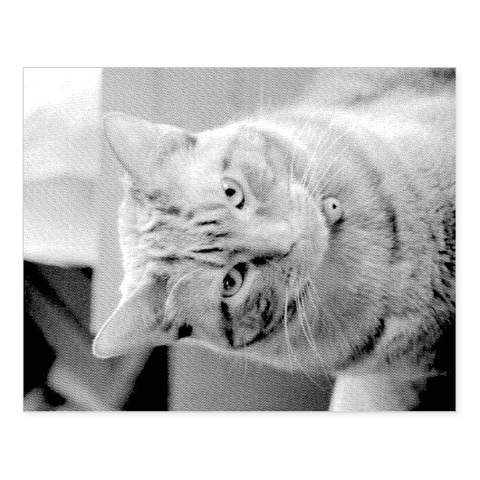 Ernstig Rubberstempel (Afrduk)