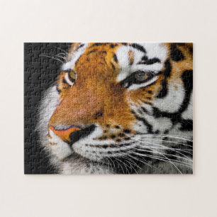 Ernstig tijgergezicht legpuzzel
