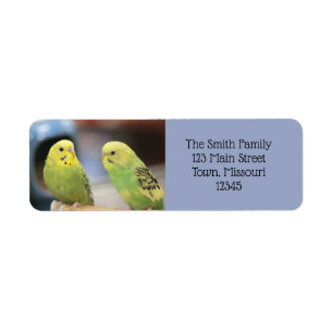 Ernstige keets etiket