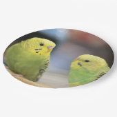 Ernstige keets papieren bordje (Gekanteld)