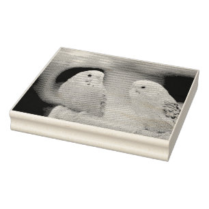 Ernstige keets rubberstempel