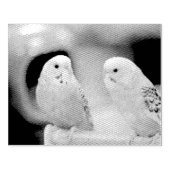 Ernstige keets rubberstempel (Afrduk)