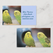 Ernstige keets visitekaartje (Voorkant / Achterkant)