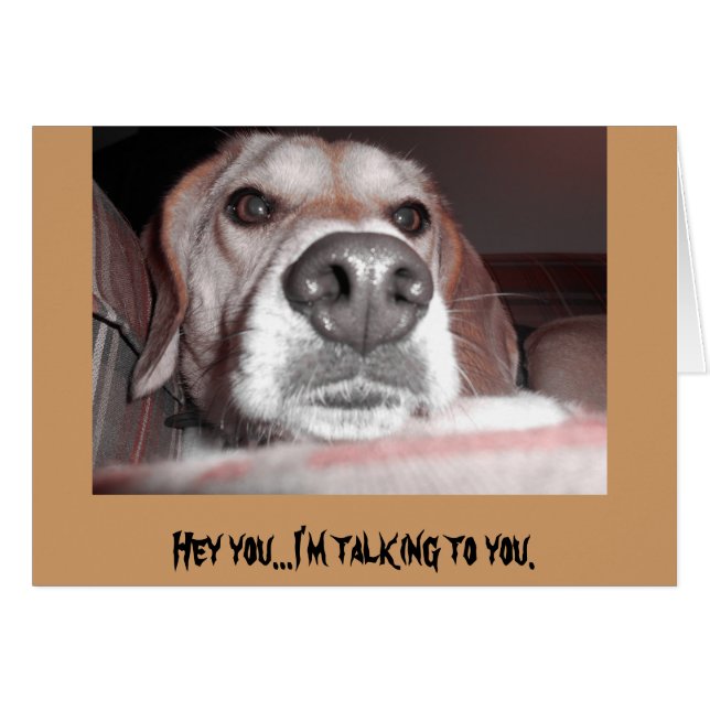 Ernstige pup (Voorkant Horizontaal)