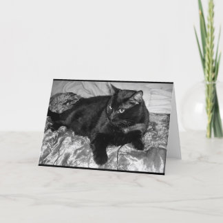 Ernstige zwarte kat kaart