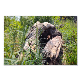 erosiesnijden foto afdruk