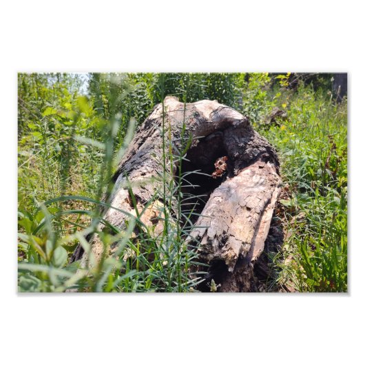 erosiesnijden foto afdruk (Voorkant)