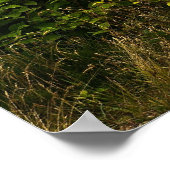 Errigal Poster (Hoek)