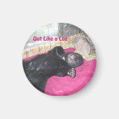 Eruit als een blokmagneet magneet (Voorkant)