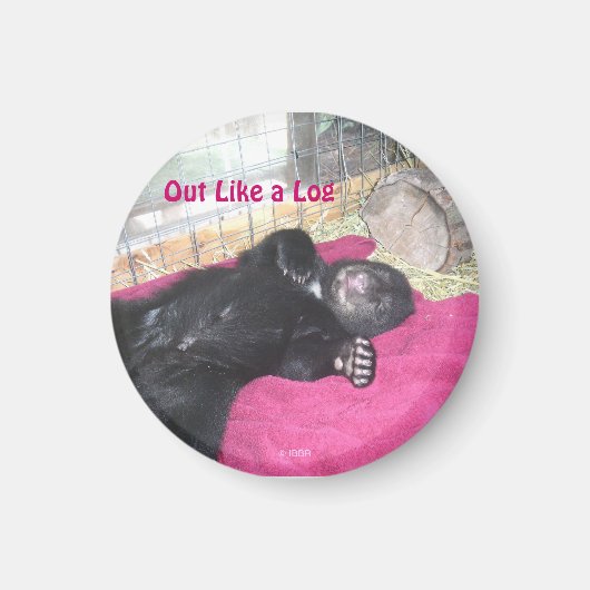 Eruit als een blokmagneet magneet (Voorkant)