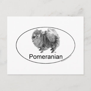 Eruo Pomeraïsche Hond Briefkaart