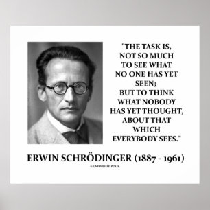 Erwin Schrödinger Task denkt dat nog niemand dacht Poster