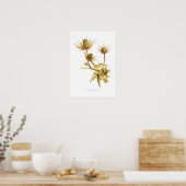 Eryngium oliverianum poster (Keuken)