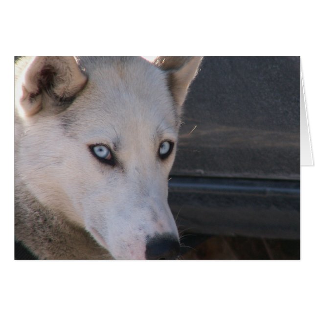 Es-tu prêt ? (Devant horizontal)