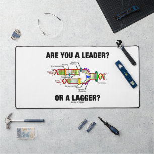 Es-Tu Un Leader ? Ou Un Plus Grand ? Réplication A