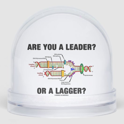 Es-Tu Un Leader ? Ou Un Plus Grand ? Réplication A (Avant)