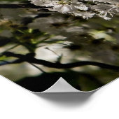 Ésaïe 46:4 affiche (Coin)