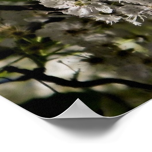 Ésaïe 46:4 affiche (Coin)