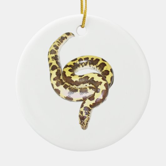 ESB Circle Ornament (Voorkant)