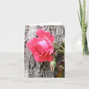 Escalade rose sur la carte de voeux arborescente
