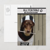 Escape uit Allycatraz Briefkaart (Voorkant / Achterkant)