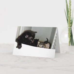 Escaping Kittens Wenskaart Kaart