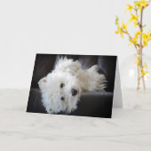 Escapist het pesky westiewenskaart kaart (Gele Bloem)