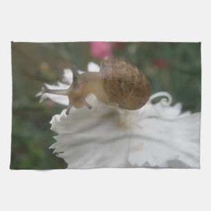 Escargot de jardin et serviette de cuisine carnati