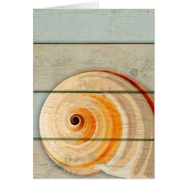 Escargot de lune (Devant)