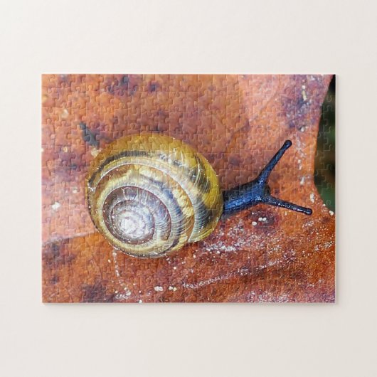 Escargot sur le puzzle de feuille (Horizontal)