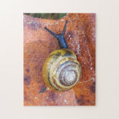 Escargot sur le puzzle de feuille (Vertical)