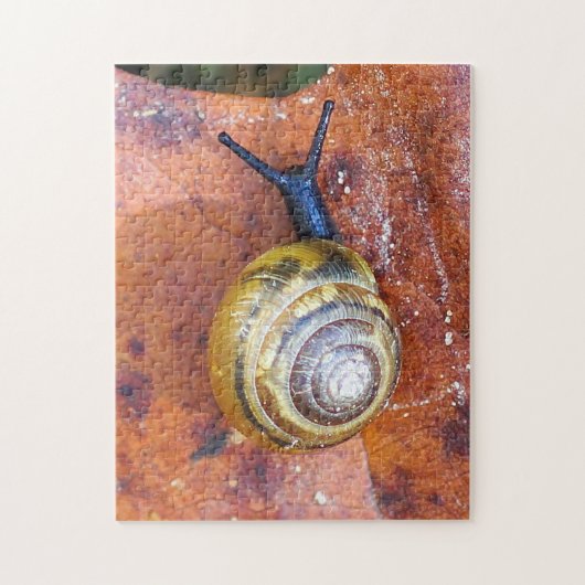 Escargot sur le puzzle de feuille (Vertical)