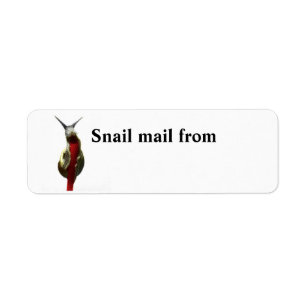 Escargot sur un étiquette de adresse de paille