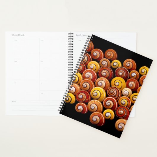 Escargots d'arbre cubain (Devant avec enveloppe)