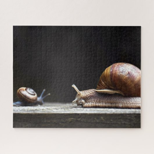 Escargots - slak Mollusk Legpuzzel (Horizontaal)