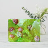 Escargots sur carte de laitue (Debout devant)