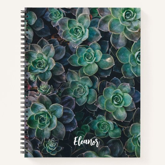 Esceveria Plante Succulent Carnet à thème (Devant)