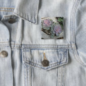 Escheveria Button (In situ)