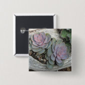 Escheveria Button (Voorkant /achterkant)