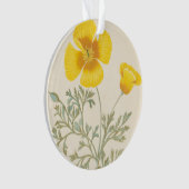 Eschscholtzia californien (devant)