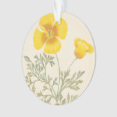 Eschscholtzia californien (devant)