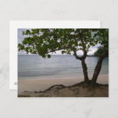 Escondido Beach Briefkaart (Voorkant / Achterkant)