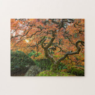 Esdoorn bij de Japanse Tuinen in de herfst Legpuzzel