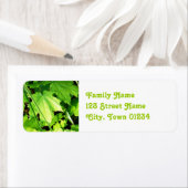 Esdoorn Etiket (Insitu)